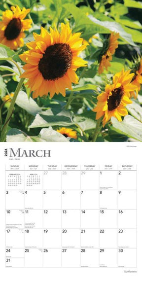 2024 Sunflowers Calendar