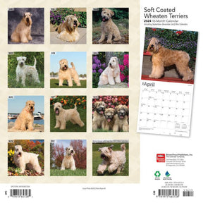 2024 Soft Coated Wheaten Terriers Calendar