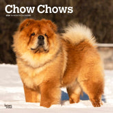 2024 Chow Chows Calendar