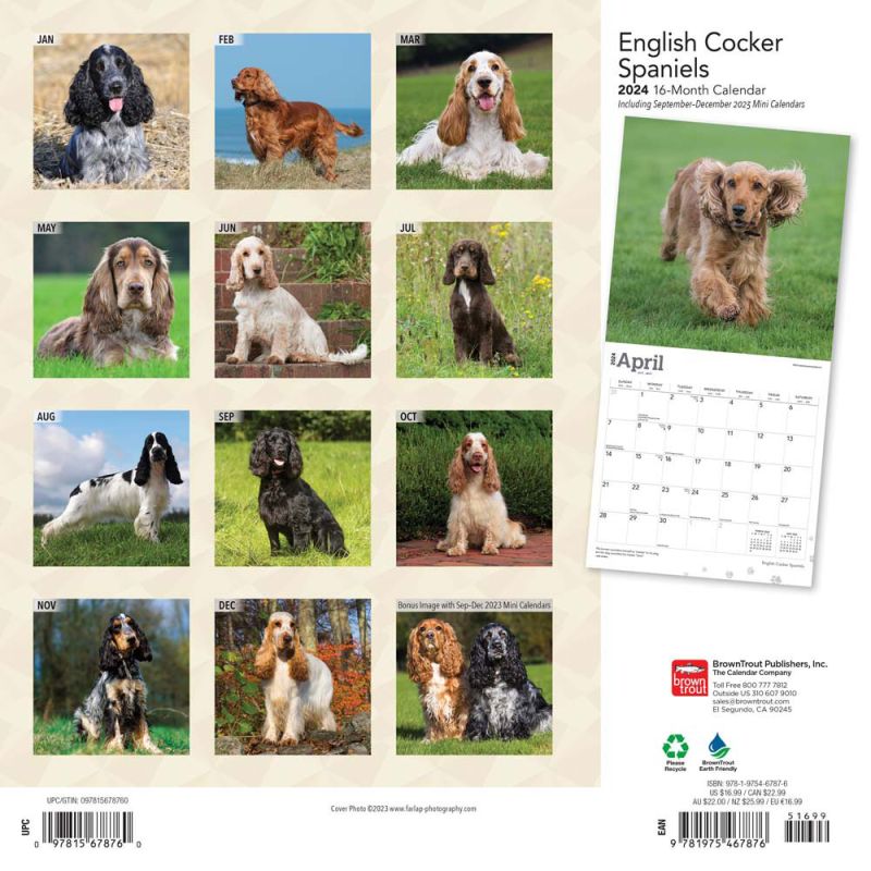 2024 English Cocker Spaniels Calendar
