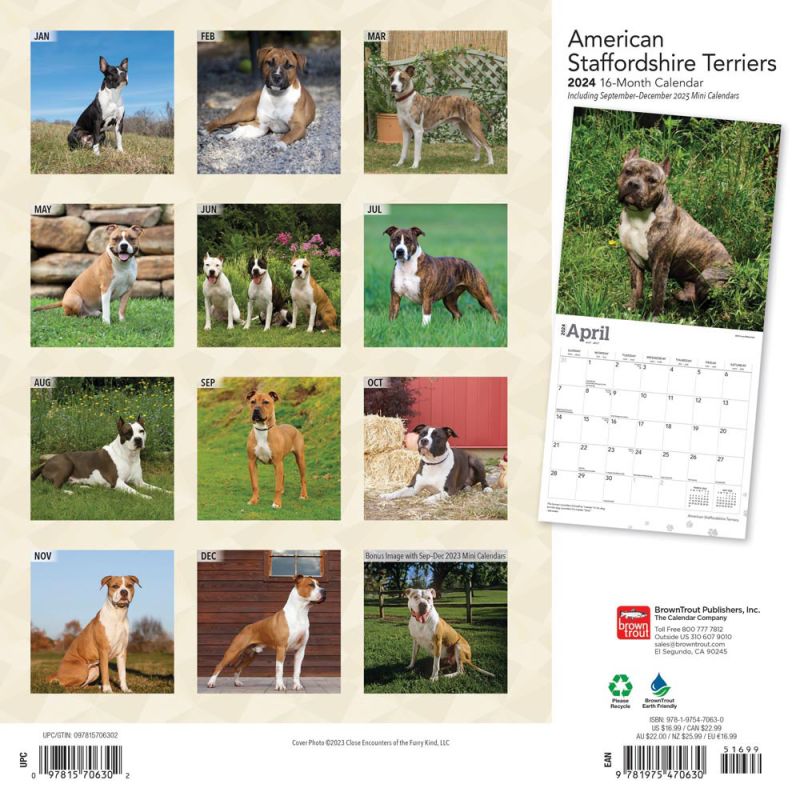 2024 American Staffordshire Terriers Calendar