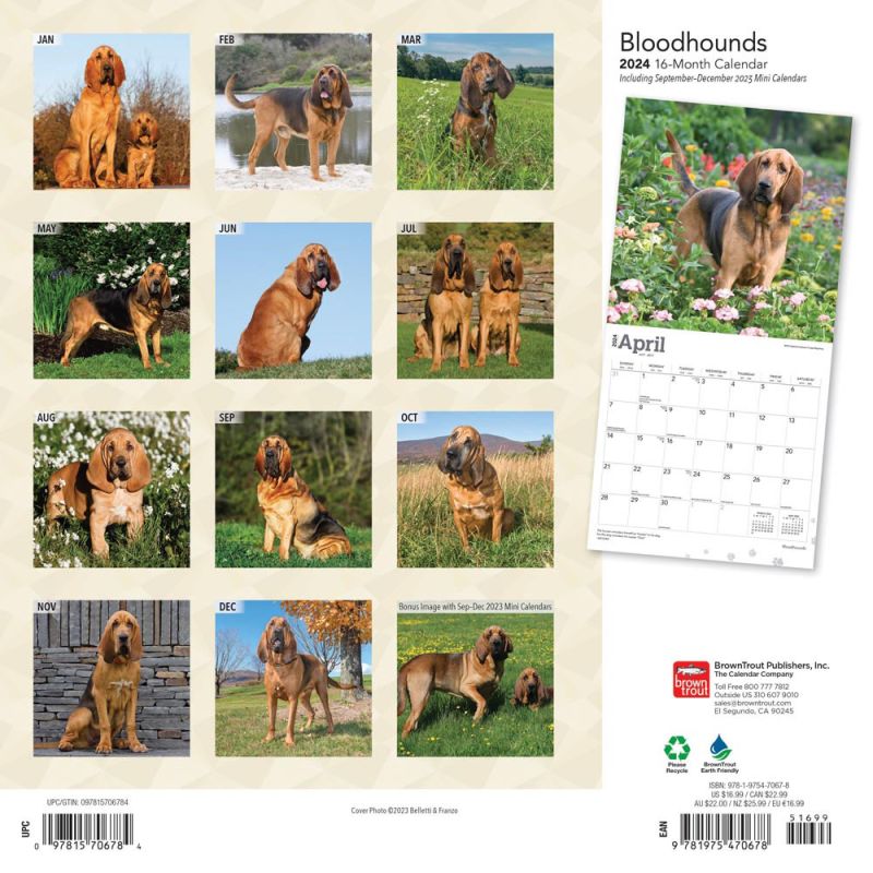 2024 Bloodhounds Calendar