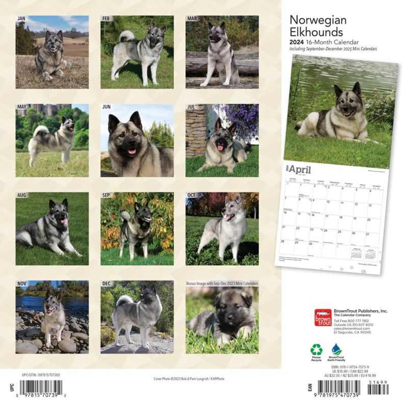 2024 Norwegian Elkhounds Calendar