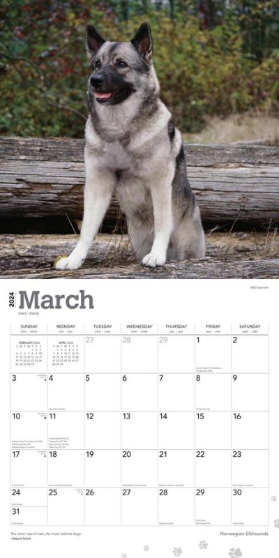 2024 Norwegian Elkhounds Calendar