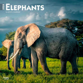 2024 Elephants Calendar
