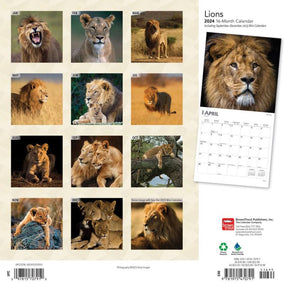 2024 Lions Calendar