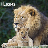 2024 Lions Calendar
