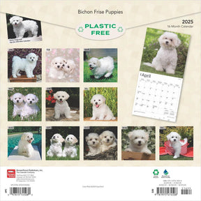 2025 Bichon Frise Puppies Calendar