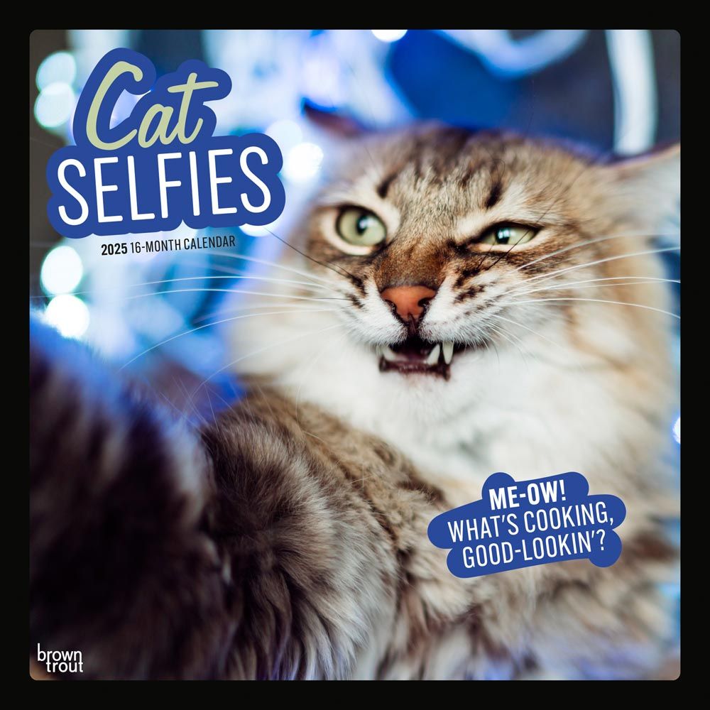 2025 Cat Selfies Calendar