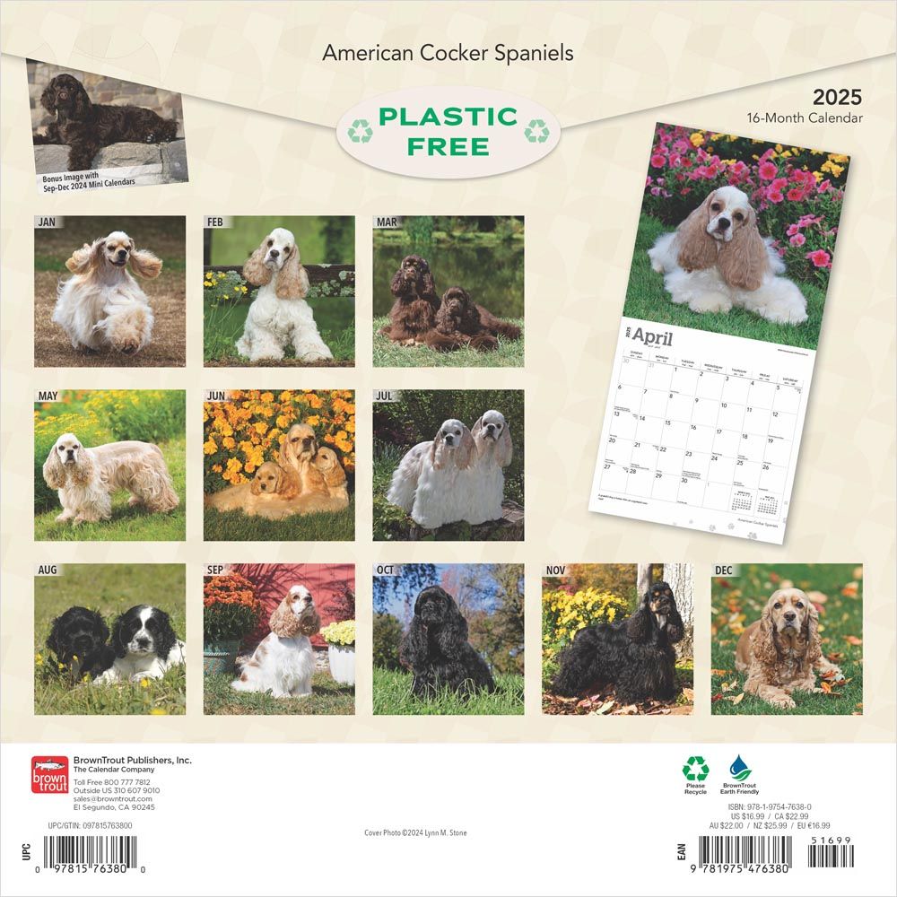 2025 American Cocker Spaniels Calendar