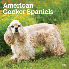 2025 American Cocker Spaniels Calendar