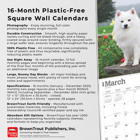 2025 American Eskimo Dogs Calendar