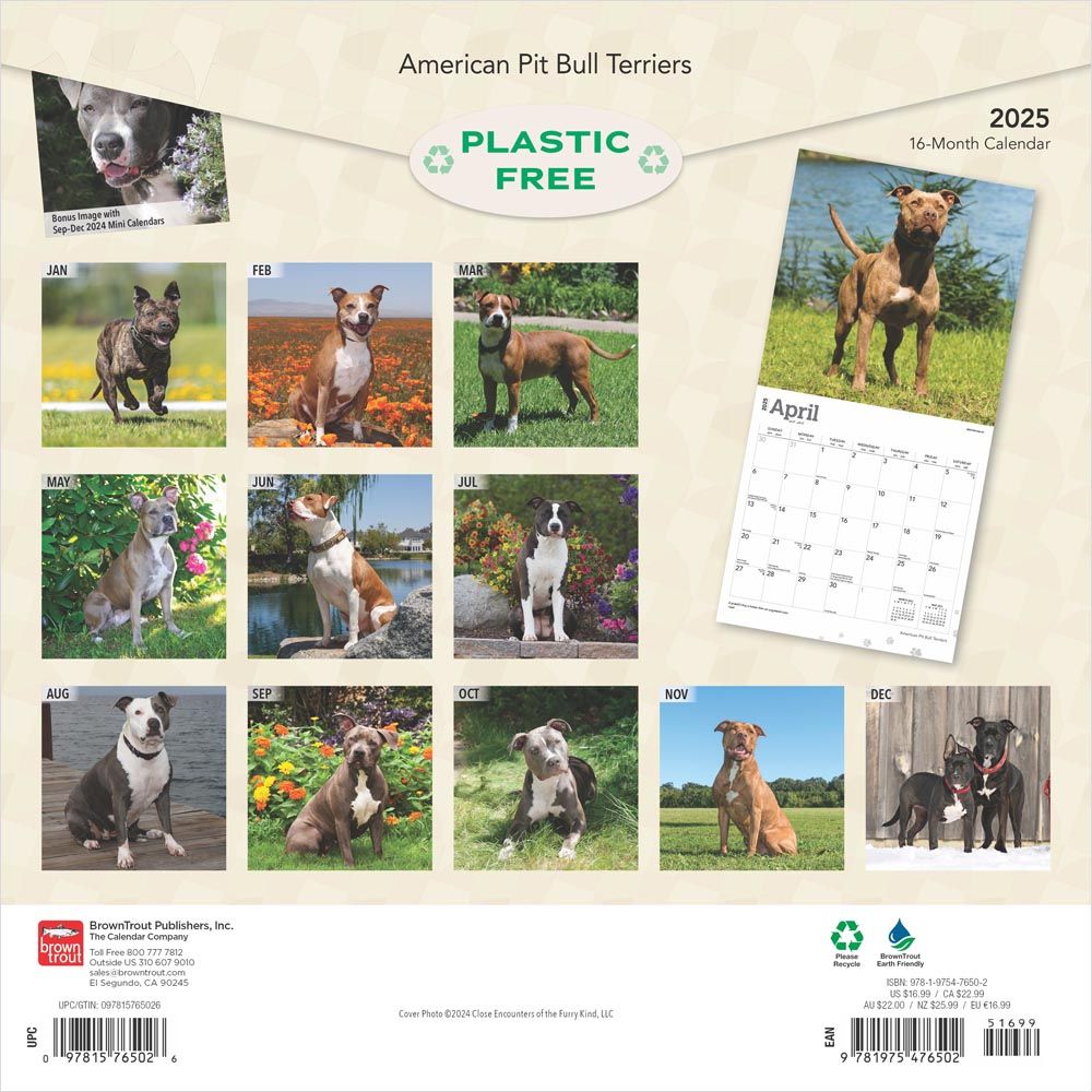 2025 American Pitbull Terriers Calendar