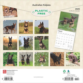 2025 Australian Kelpies Calendar