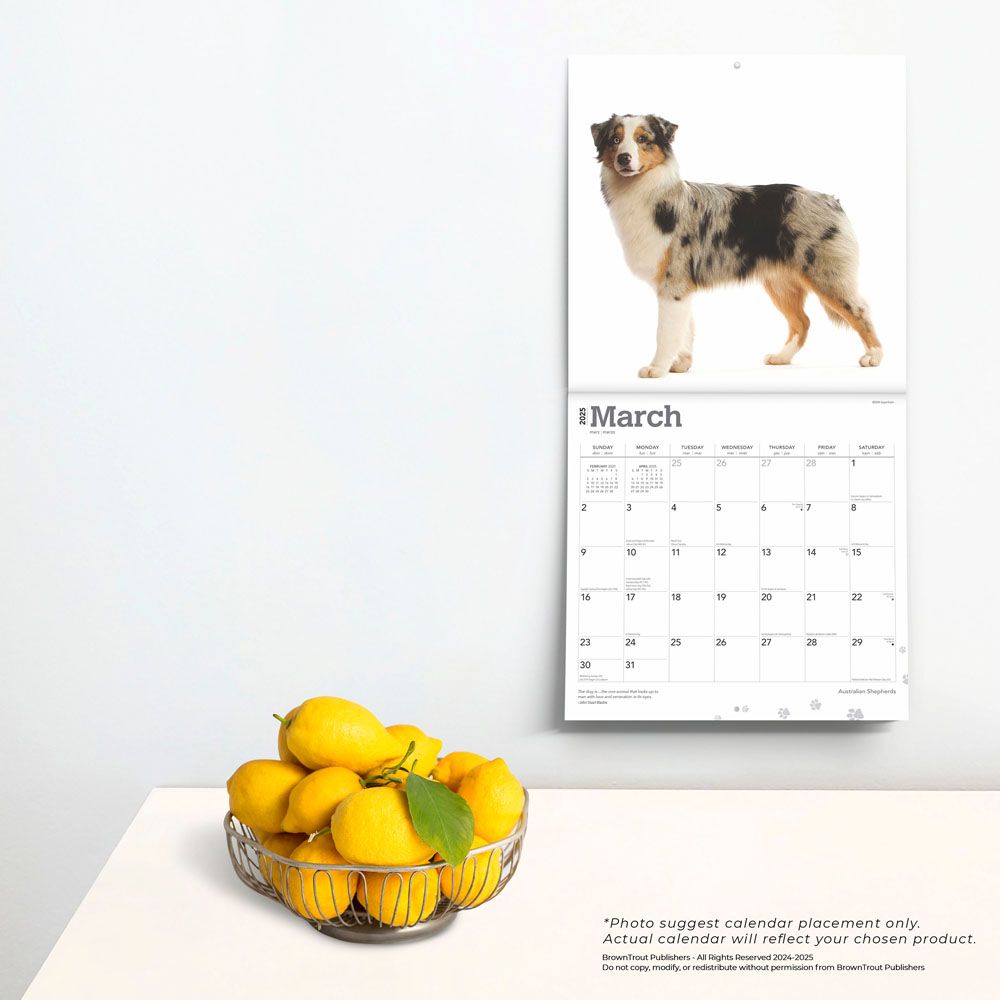 2025 Australian Shepherds Calendar