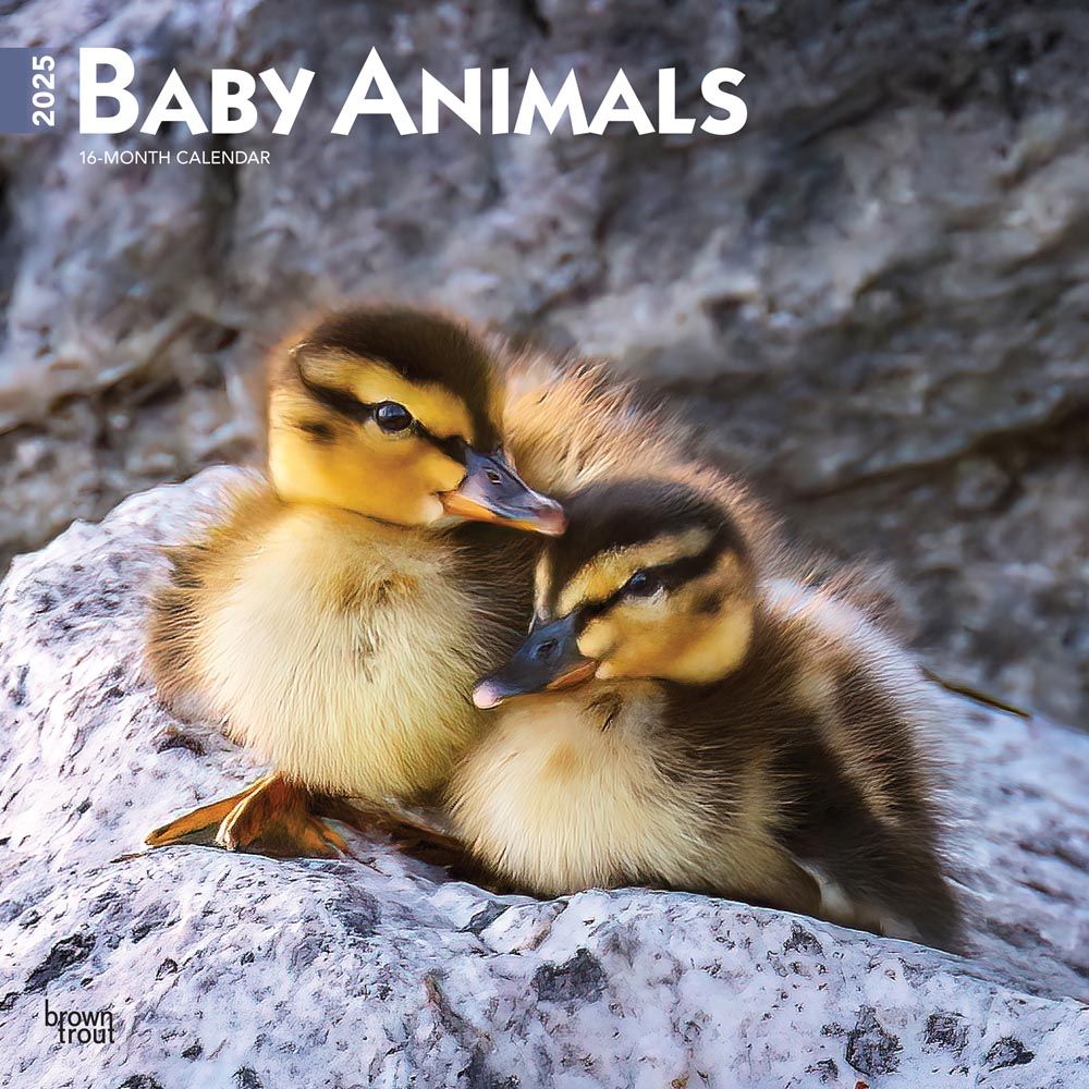 2025 Baby Animals Calendar