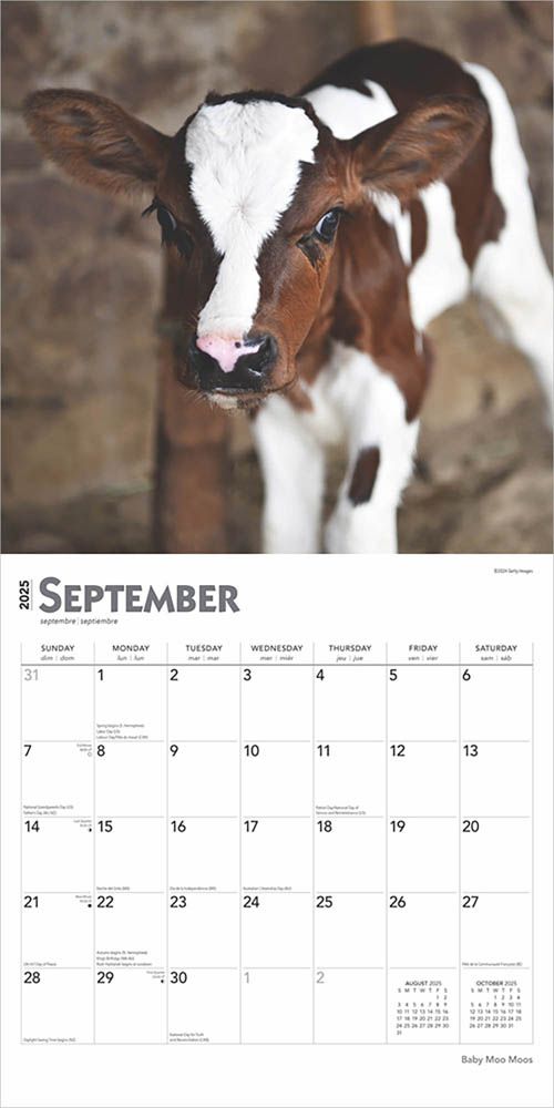 2025 Baby Moo Moos Calendar