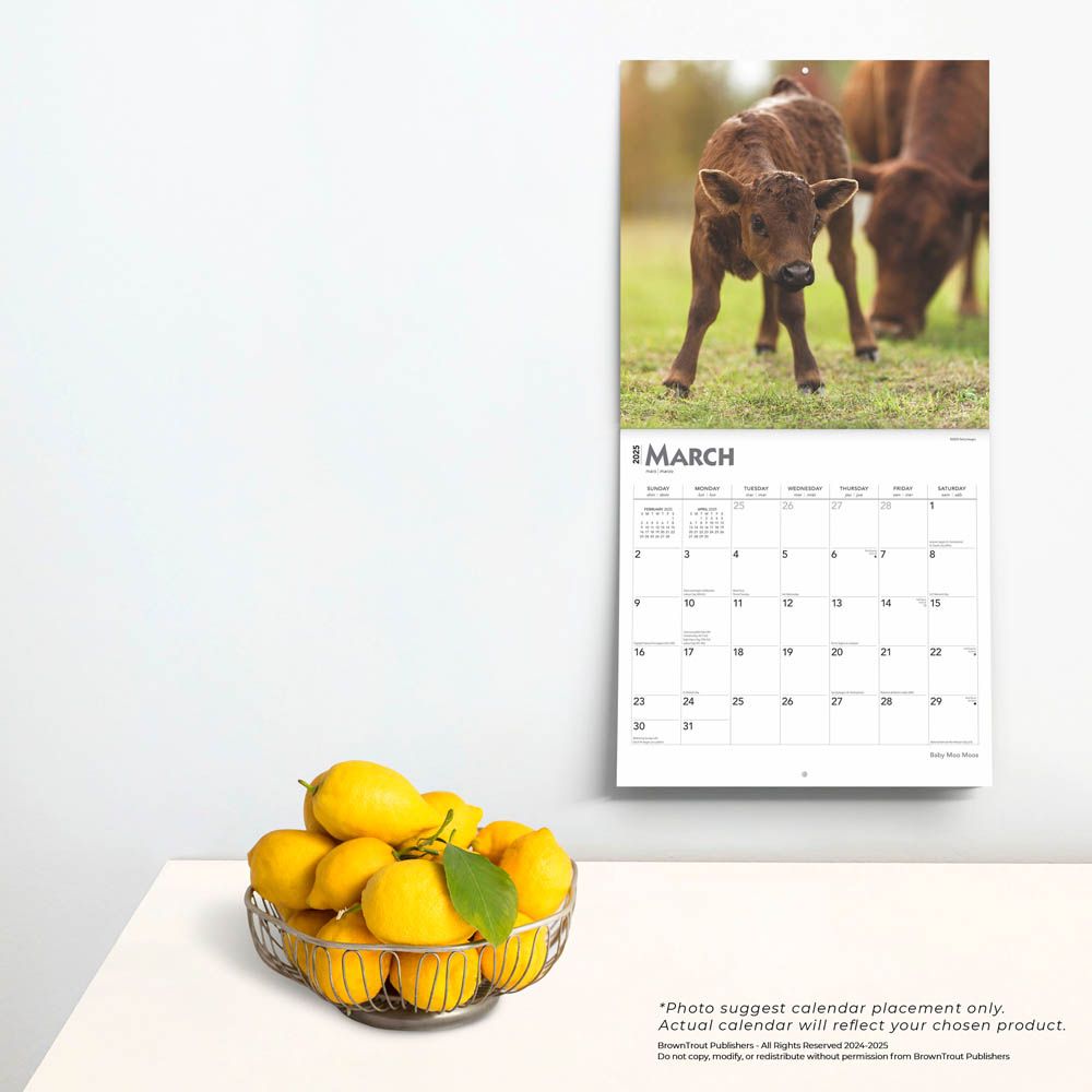 2025 Baby Moo Moos Calendar