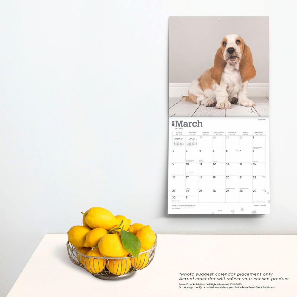 2025 Basset Hounds Calendar