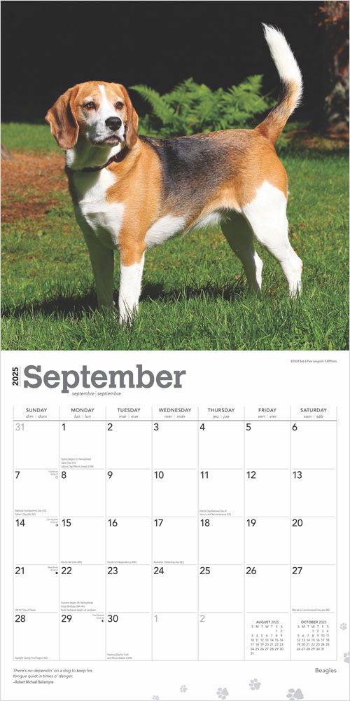 2025 Beagles Calendar