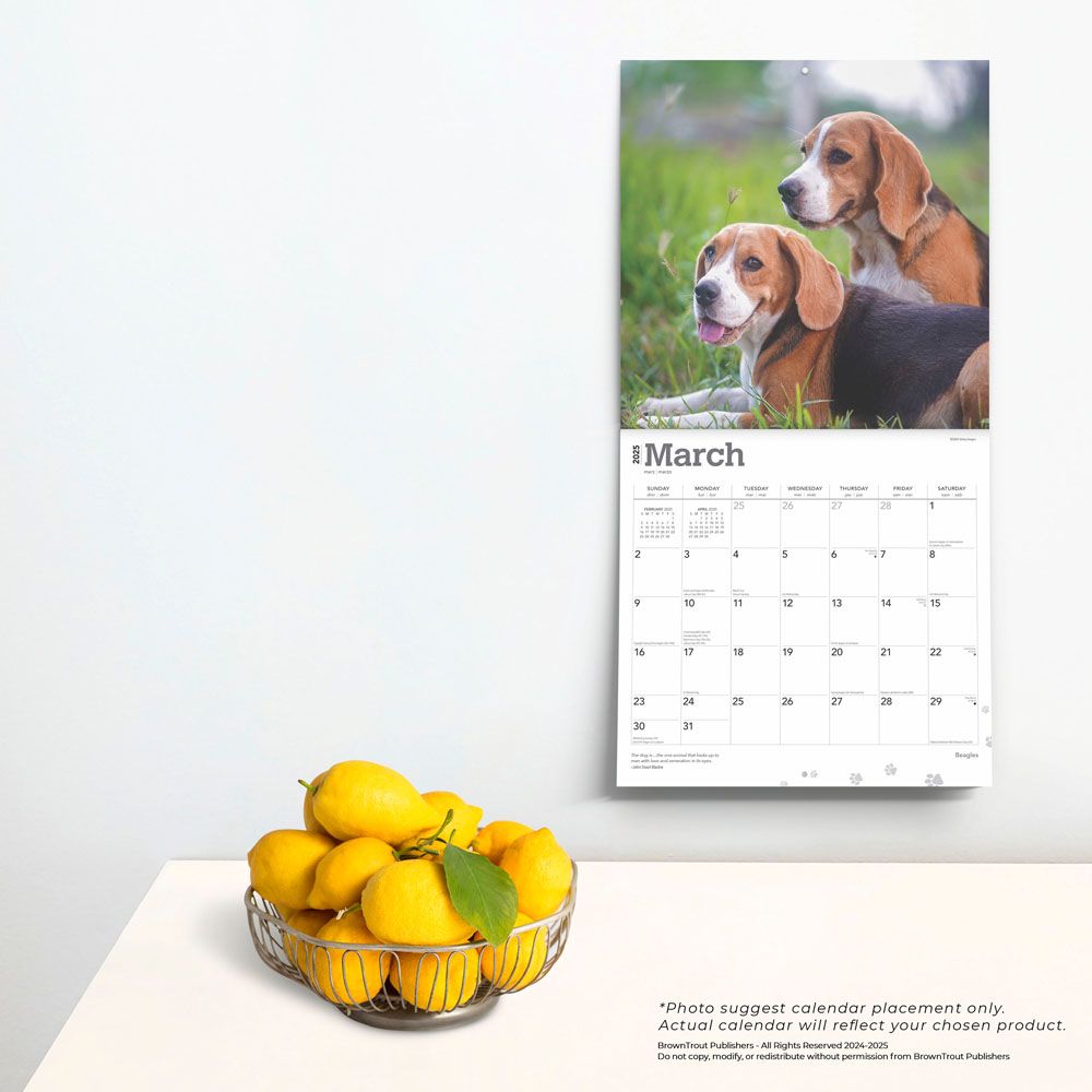 2025 Beagles Calendar