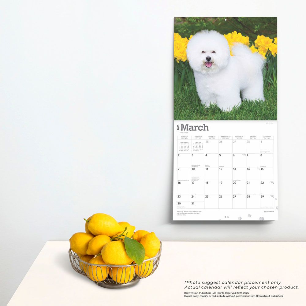 2025 Bichon Frise Calendar