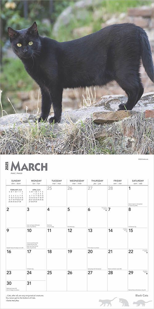 2025 Black Cats Calendar