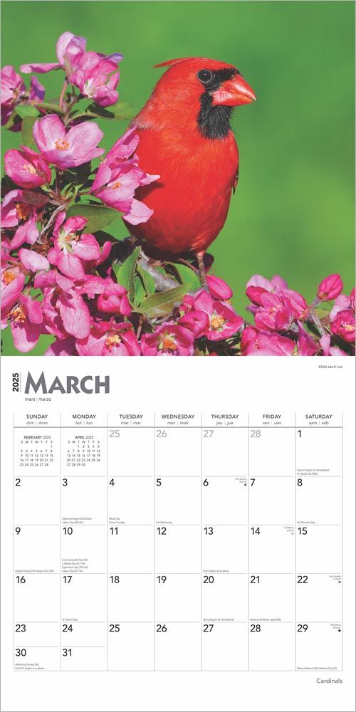 2025 Cardinals Calendar