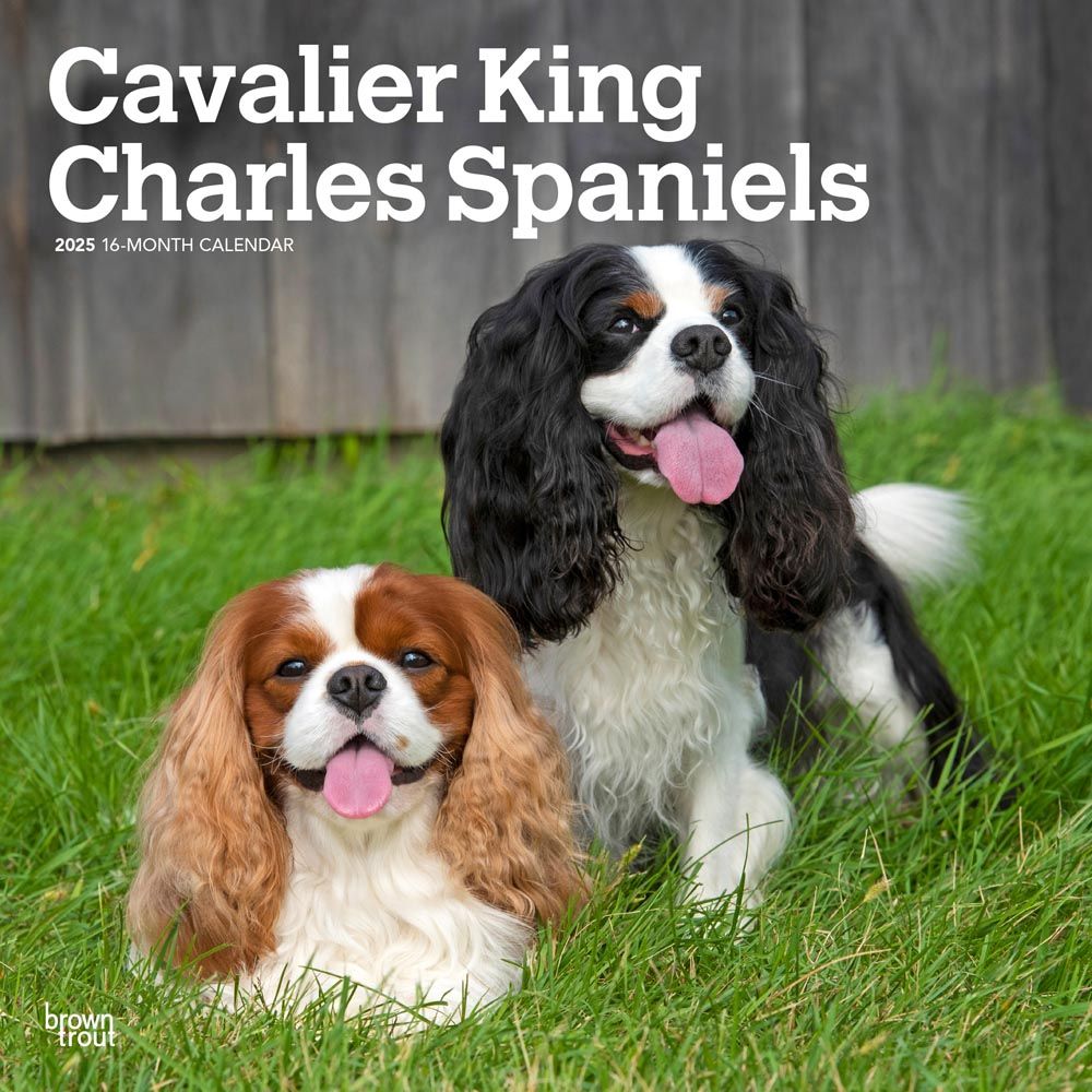 2025 Cavalier King Charles	Spaniels Calendar