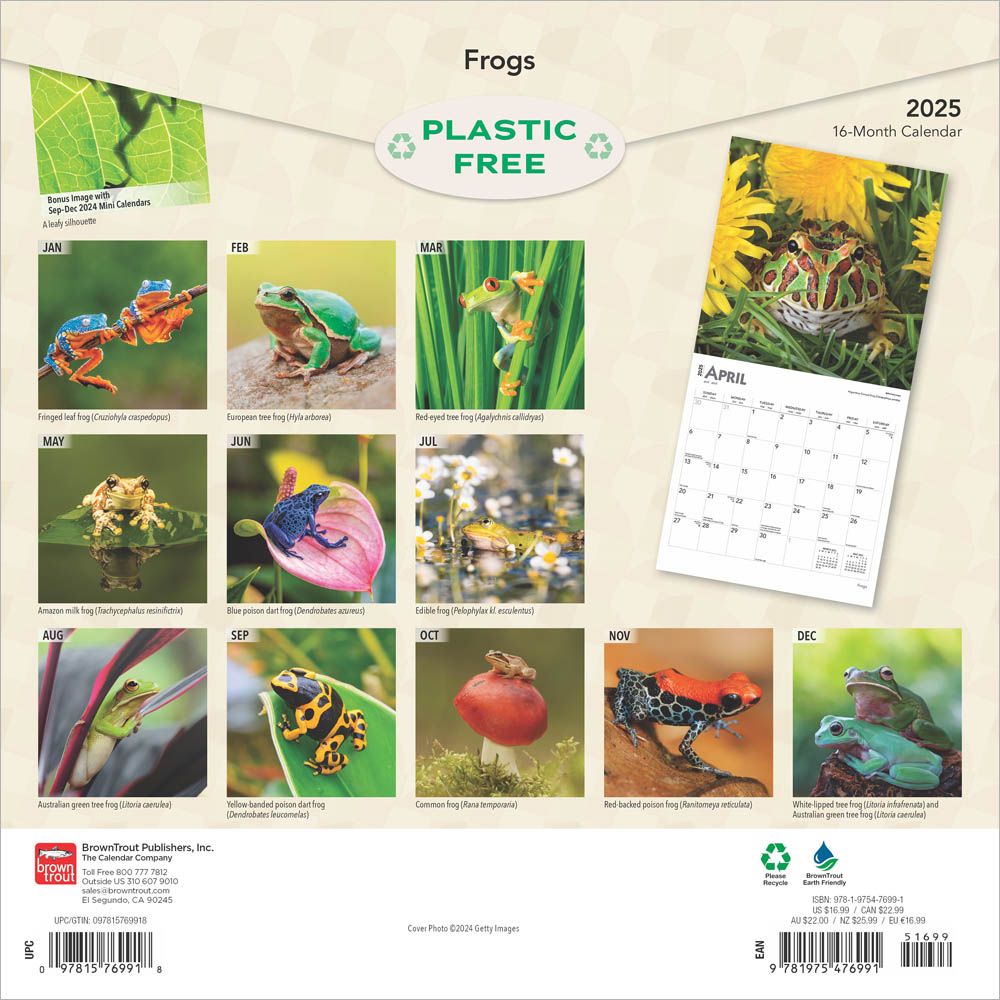 2025 Frogs Calendar