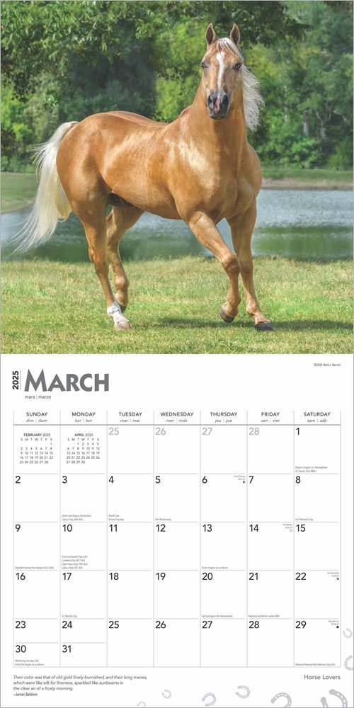 2025 Horse Lovers Calendar