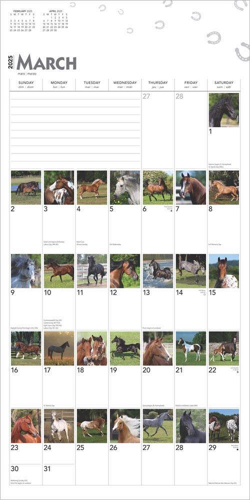 2025 365 Days Of Horses Calendar