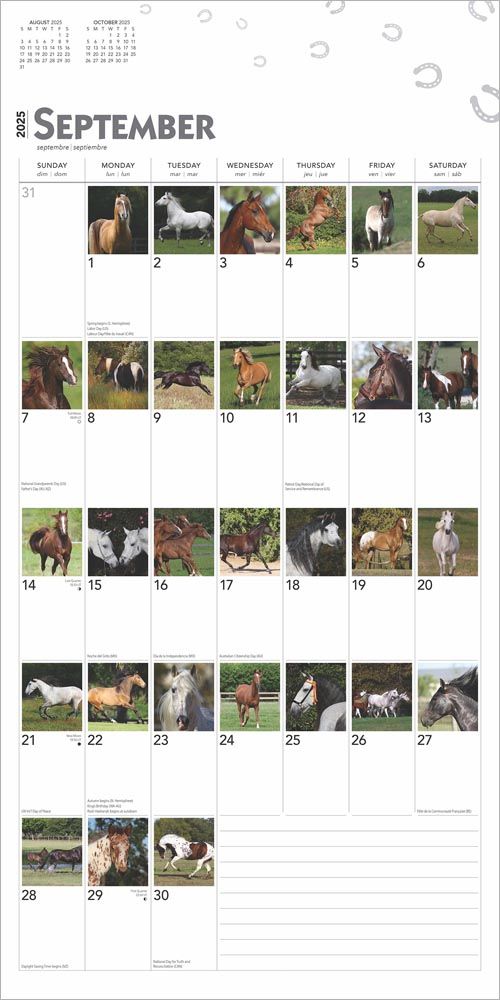 2025 365 Days Of Horses Calendar