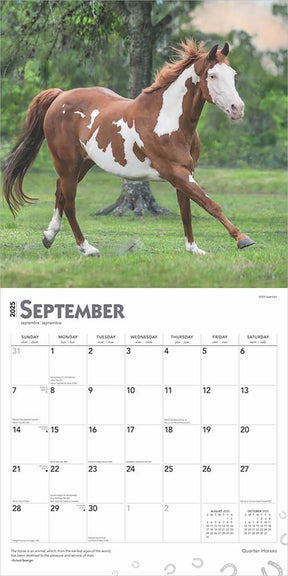 2025 Quarter Horses Calendar