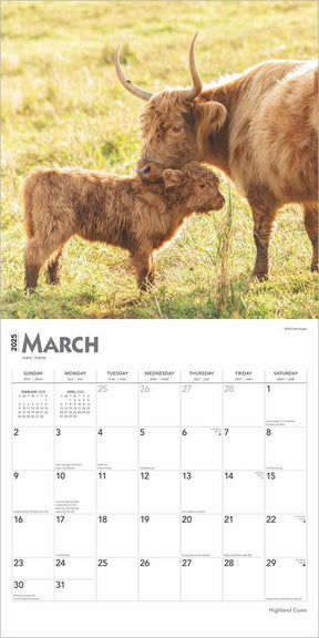 2025 Highland Cows Calendar