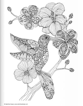 Coloring Book - Creative Coloring Birds