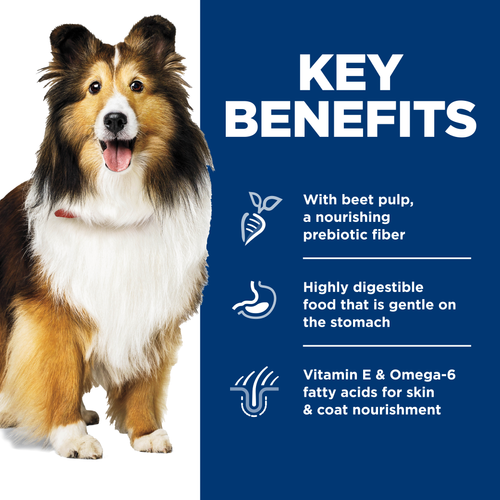 Hill's Science Diet - Sensitive Stomach & Skin Tender Chicken & Vegetable Stew Dog Food - Southern Agriculture 