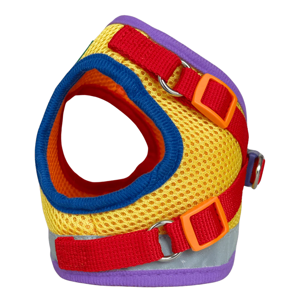 Harness & Leash Set - "The Rainbow"