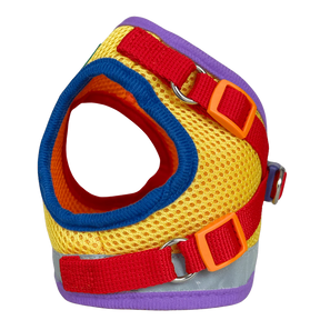 Harness & Leash Set - "The Rainbow"