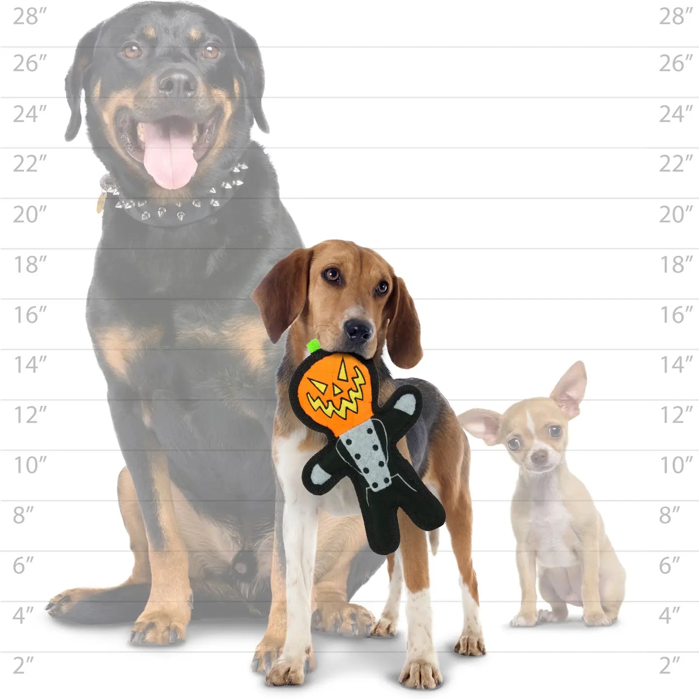 Tuffy Dog Toys - Tuffy Pumpkin Man Halloween