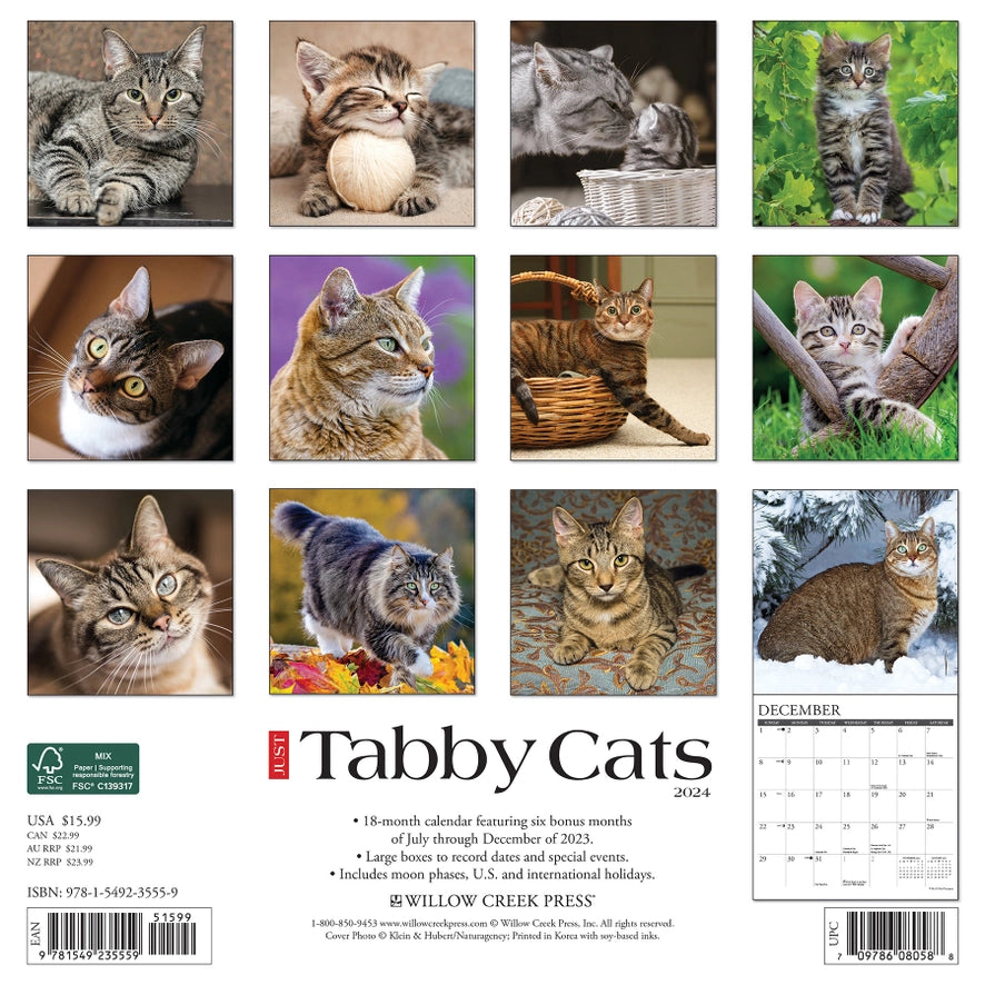 2024 Tabby Cats Calendar