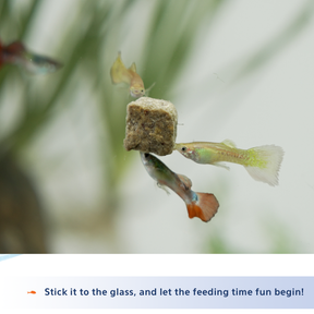 Aqueon Stick'ems Picky Eaters Treat Freeze-Dried