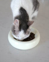 Catenary Home - Halo Pet Bowl