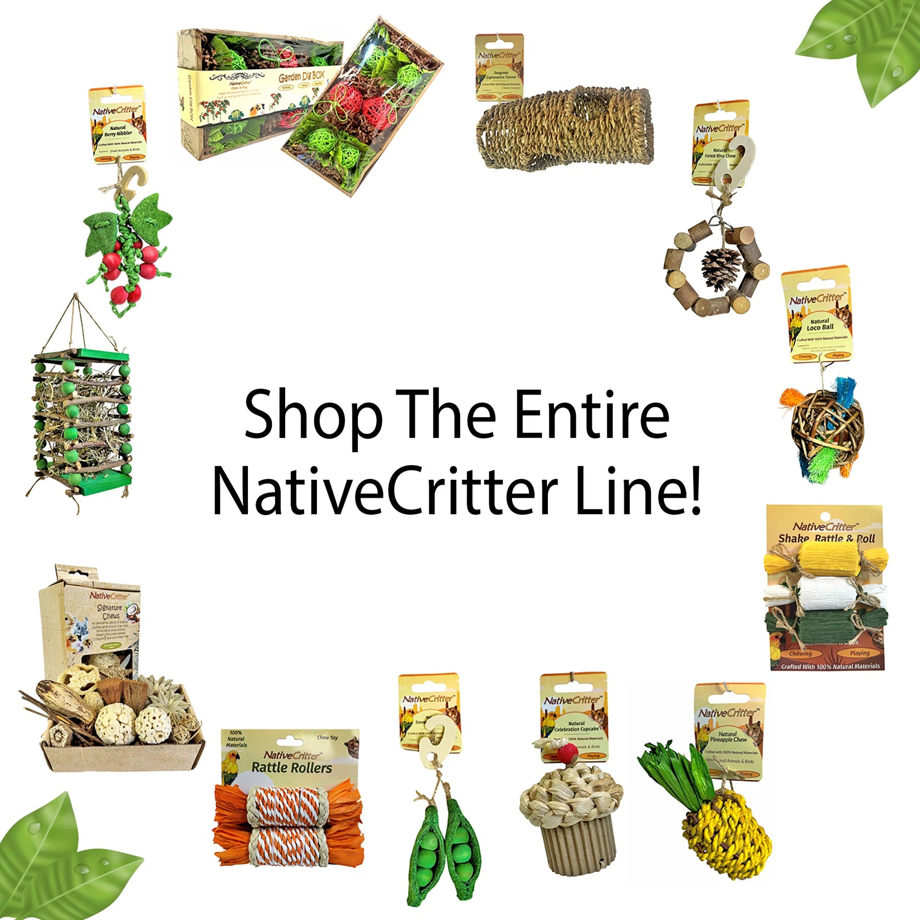 Exotic Nutrition - Loco Ball Small Animal & Bird Toy