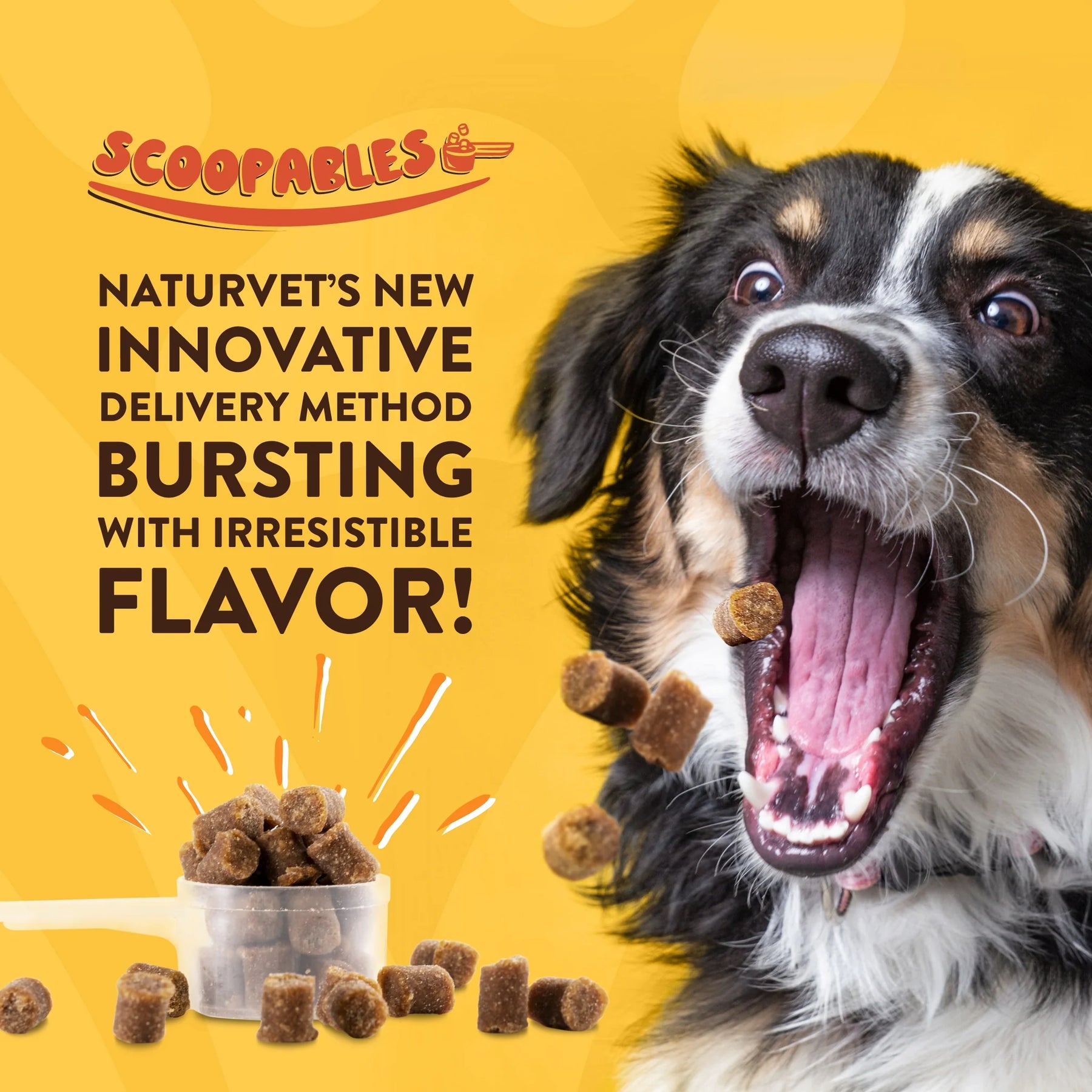 NaturVet - Scoopables Advance Probiotics & Enzymes For Dogs