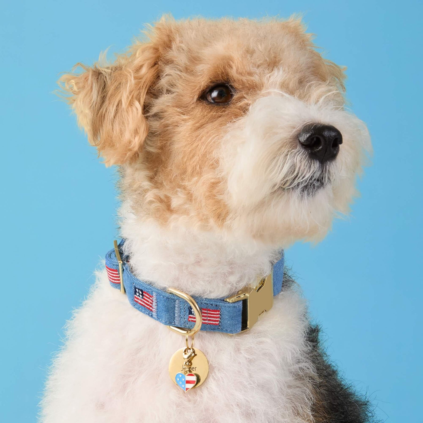 The Foggy Dog - Collar Charm I Heart America Summer