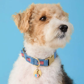 The Foggy Dog - Collar Charm I Heart America Summer