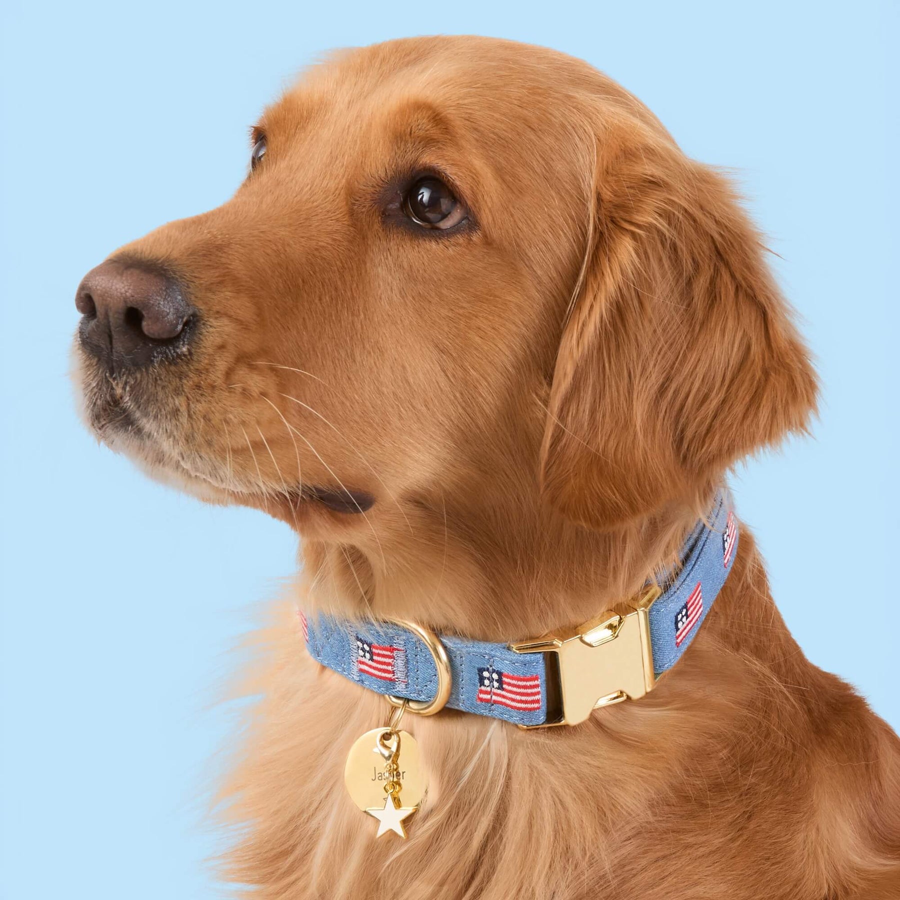 The Foggy Dog - Dog Collar American Flag Embroidered