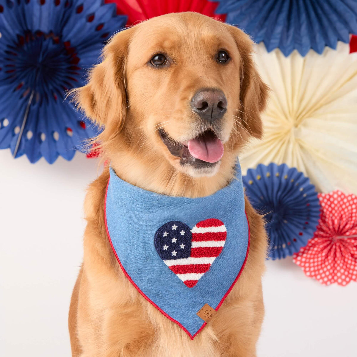 The Foggy Dog - Bandana Dog Americana Applique