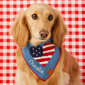 The Foggy Dog - Bandana Dog Americana Applique